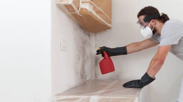 Professional Mold Inspection And Testing technician working in Montclair, VA